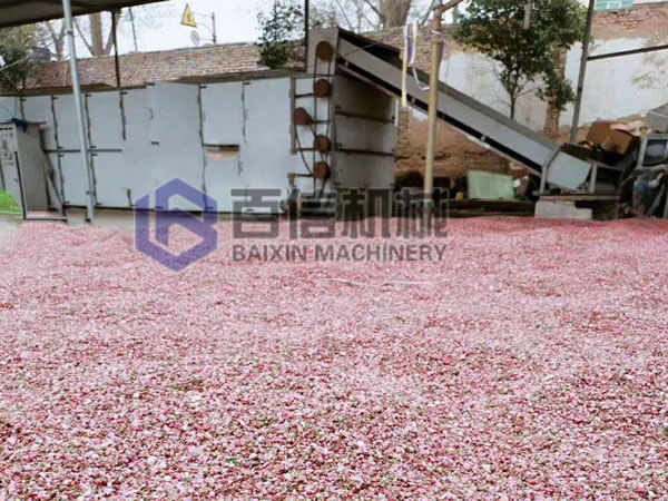 桃花烘干機(jī)設(shè)備案例